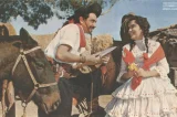 A ‘reforma agrária’ que ajudou imigrantes alemães e italianos a prosperarem no Sul do Brasil