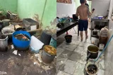 Com baratas congeladas, fábrica de salgados ‘imunda’ é fechada Com baratas congeladas, fábrica de salgados ‘imunda’ é fechada
