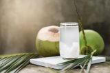 Parece inofensiva, mas água de coco pode levar à morte; veja quem deve evitar o consumo Parece inofensiva, mas água de coco pode levar à morte; veja quem deve evitar o consumo