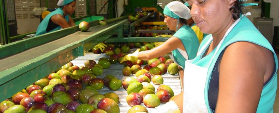 Frutas do Vale do São Francisco devem ficar de fora do tarifaço de 25% proposto pelos EUA