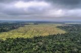 Organizações veem retrocesso grave em queda de vetos de PL Ambiental