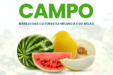 Dia de Campo fortalece agricultura de Casa Nova com especialistas da Embrapa