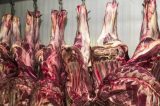 China anuncia tarifa de 55% sobre importações de carne brasileira; entenda