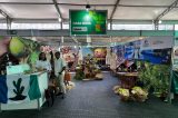 Casa Nova brilha na Fenagro e leva sua potência agropecuária e turística para Salvador Casa Nova brilha na Fenagro e leva sua potência agropecuária e turística para Salvador