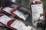 Bahia registra o maior número de coletas de sangue da região Nordeste em 2025