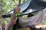 Forças de segurança desmontam acampamentos de facção no recôncavo baiano