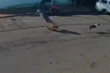 Vídeo: idoso morre após ser ‘atropelado’ por cachorro em via pública