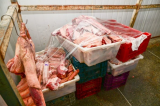 Açougue é interditado por armazenar carne imprópria para consumo no interior da Bahia