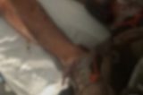 Homem é assassinado a tiros dentro de ambulância no Agreste