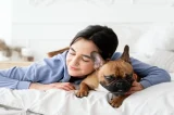 Dormir com o cachorro na cama prejudica o sono? Entenda o que dizem os estudos