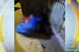 Jovem de 25 anos é assassinado a tiros em ponto de tráfico de drogas