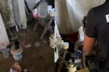 Patrão retém aposentadoria e mantém idoso de 81 anos em trabalho análogo à escravidão