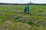 Prefeitura de Casa Nova garante frutas frescas e saudáveis para a rede municipal de saúde
