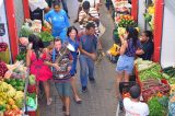 Mercados Municipais realizam prévia do Carnaval de Juazeiro 2026