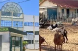 Incra reconhece comunidade de 17 famílias de Uauá como projeto de assentamento Incra reconhece comunidade de 17 famílias de Uauá como projeto de assentamento