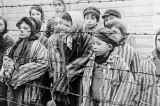 Pesquisa aponta que apenas 53,2% dos brasileiros sabem definir o Holocausto