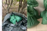 PM apreende grande quantidade de maconha em Cabrobó