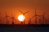 Saiba quais são as empresas estrangeiras que lideram a energia eólica no Nordeste