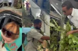 Ônibus despenca de ribanceira em destino turístico da Bahia