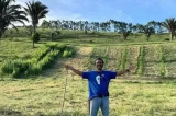 Como é a mansão de Marcos Palmeira, com terreno do tamanho de 300 campos de futebol, vários bichos e fábricas