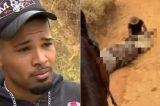 Jovem que cortou patas de cavalo é preso em operação contra o tráfico; saiba detalhes