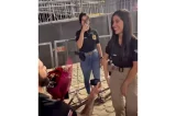 Delegado pede investigadora em casamento na Bahia