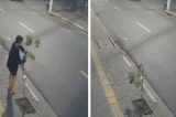 Vídeo flagra mulher destruindo árvores recém-plantadas em projeto de revitalização