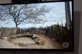 Fantástico mostra drama e sofrimento durante seca em Chorrochó Fantástico mostra drama e sofrimento durante seca em Chorrochó