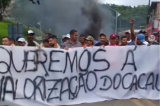 Produtores do sul da Bahia bloqueiam BR-101 em ato contra importação de cacau africano