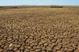 Estiagem avança no Sertão e agricultores cobram políticas públicas emergenciais