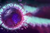 Estudo aponta: Herpes humana surgiu há pelo menos 2,5 mil anos Estudo aponta: Herpes humana surgiu há pelo menos 2,5 mil anos