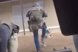Agressão? Agente federal chuta cachorro durante abordagem policial