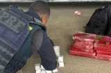 24 quilos de drogas são apreendidos em ônibus de turismo na Bahia