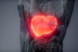 Semaglutida: tratamento pode ser eficaz contra aumento da gordura no fígado, diz hepatologista Semaglutida: tratamento pode ser eficaz contra aumento da gordura no fígado, diz hepatologista