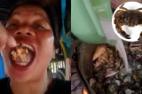 Influenciadora de comida morre após comer ‘caranguejo do diabo’ em vídeo