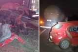 Cinco pessoas morrem em acidente entre carro e carreta na BR-414