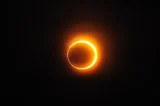 Mundo entrará no ‘modo noturno’ em breve e animais começam a se preparar