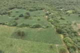 PM e PF apreendem 1 tonelada de maconha em fazenda na Chapada Diamantina