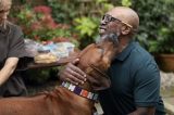 Companheiros de vida: como os animais de estimação podem melhorar a saúde emocional dos idosos
