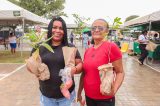 Chuva abençoa Pinhões em dia de Prefeitura Presente e cidadania neste sábado (28)