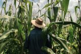 Agro cobra que Congresso “modernize” relações trabalhistas