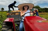Mineia Kazume e a força feminina do agro no Vale do São Francisco