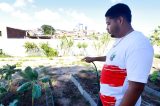 Estudantes de colégio de tempo integral transformam escola em espaço de educação ambiental e agroflorestamento Estudantes de colégio de tempo integral transformam escola em espaço de educação ambiental e agroflorestamento