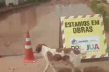 Depois das chuvas, Avenida Agapando é interditada no bairro Park Centenário; vídeos Depois das chuvas, Avenida Agapando é interditada no bairro Park Centenário; vídeos