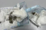 Dentista é presa em flagrante por entrar com drogas em presídio na Bahia