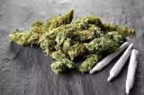 Maconha dispara e consumo de drogas cresce 80% no Brasil em 11 anos, aponta levantamento
