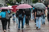 Alerta vermelho: mais de 390 cidades da Bahia estão em grande perigo após chuvas intensas