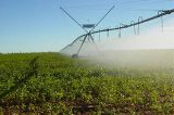 Acusado de milícia e grilagem no oeste da Bahia recebeu R$ 15 milhões do agronegócio