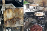 Animais na cozinha: fábrica de quentinhas é interditada e multa pode chegar a R$ 38 mil