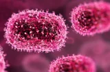 Mpox: Brasil registra 136 casos em cinco novos estados